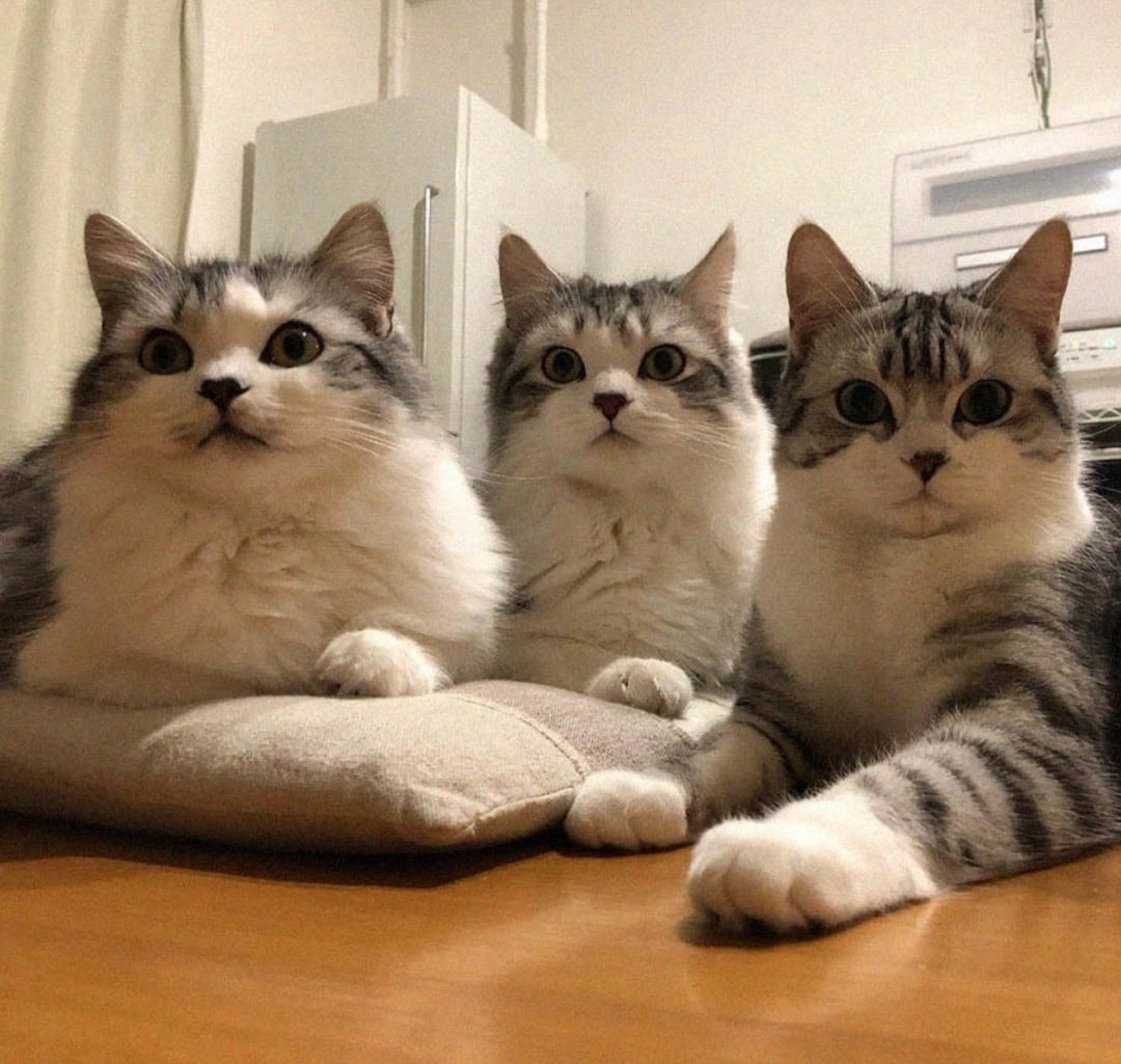 Вторая тестовая статья